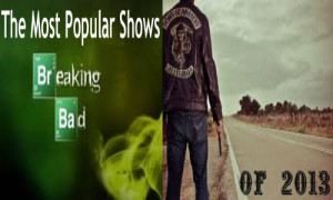 The Most Popular Shows of 2013